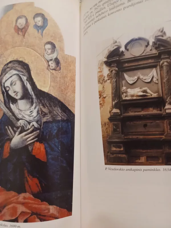 Vilniaus bernardinų bažnyčia - Rūta Janonienė, knyga 3