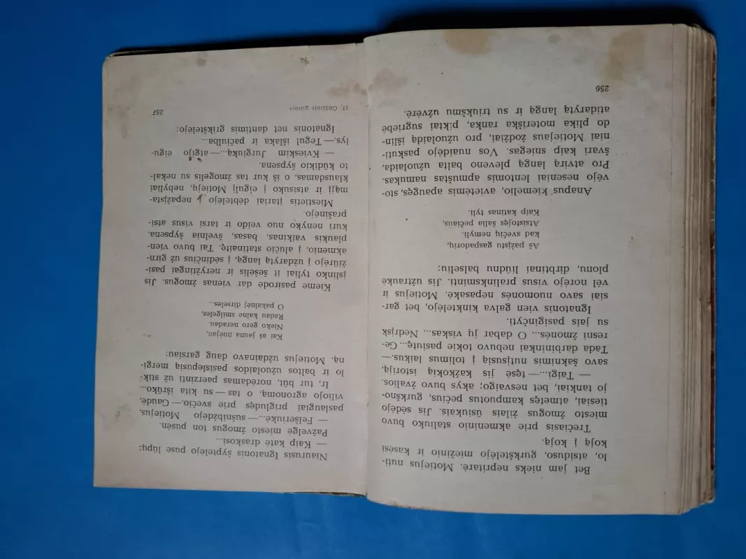 Gūdžioje girioje - Jonas Dovydaitis, knyga 6