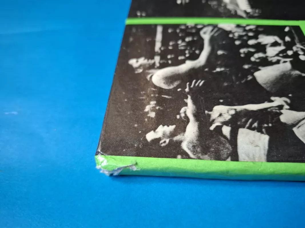 Halė, kurioje žaidė Lubinas ir Sabonis: 1939-1989 - Vidas Mačiulis, Vytautas  Gudelis, knyga 3