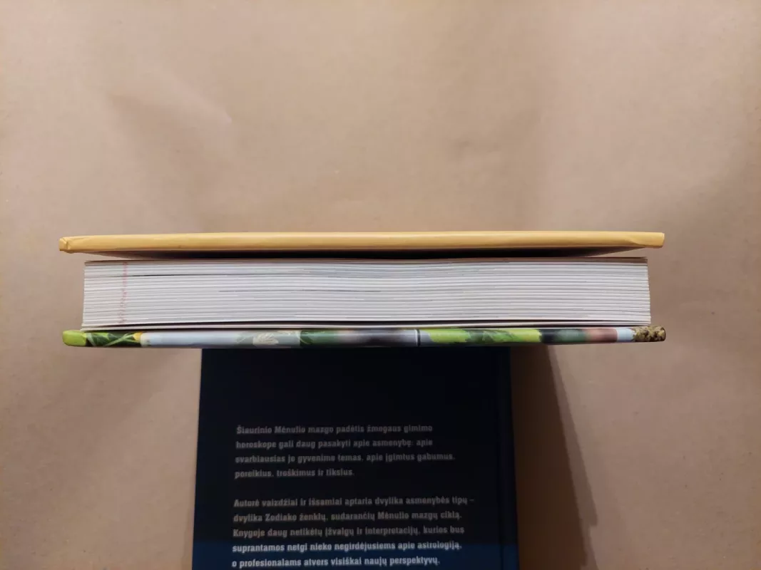 Vaistiniai augalai: sudedamosios dalys, gydomasis poveikis, pritaikymas - Anne Iburg, knyga 4