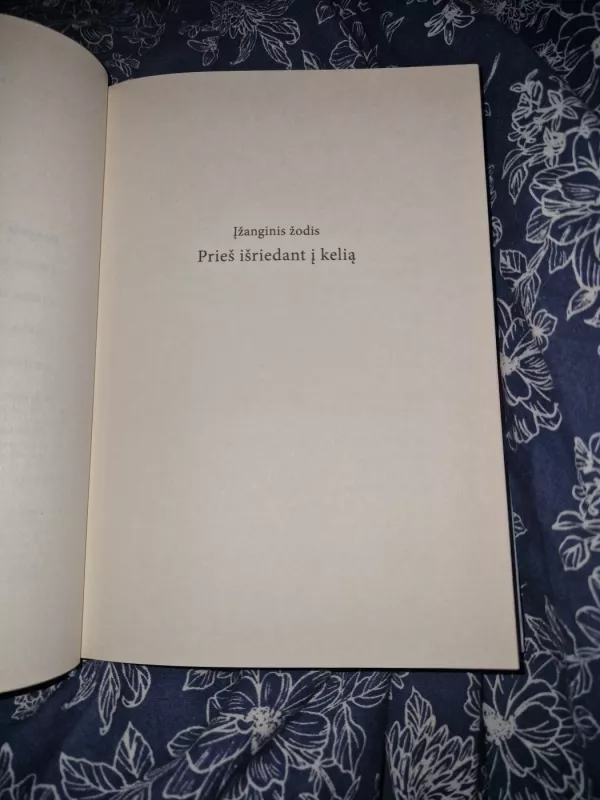 Keliaujančio katino kronikos - Hiro Arikawa, knyga 5