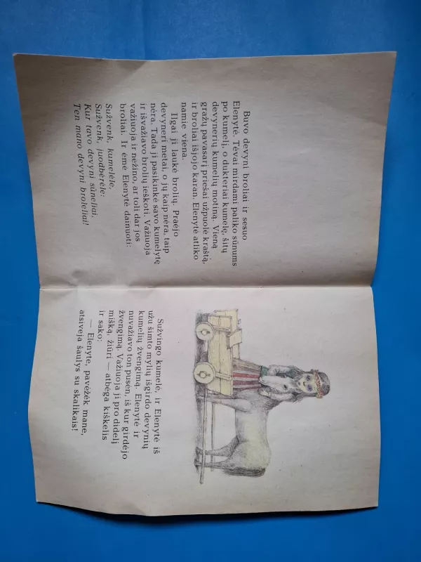 Devyni broliai ir jų sesuo Elenytė - Autorių Kolektyvas, knyga 4