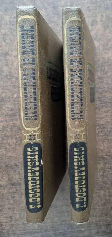 Nusikaltimas ir bausmė - F. Dostojievskij, knyga 2