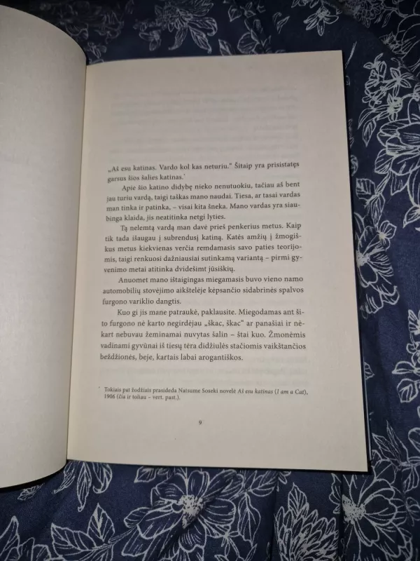 Keliaujančio katino kronikos - Hiro Arikawa, knyga 6