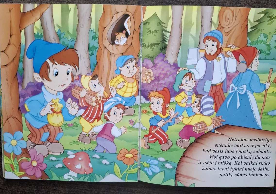 Vilkas pilkas nebaisus. Gražiausios pasakos. - Autotių kolektyvas, Autorių kelektyvas, knyga 4