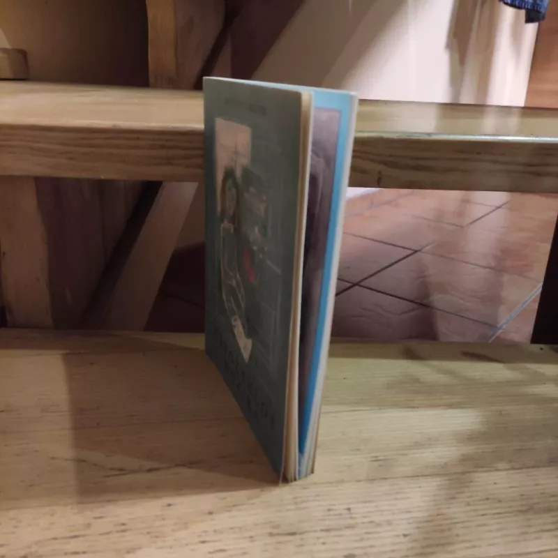 Čiuožyklos muzika - Bitė Vilimaitė, knyga 6