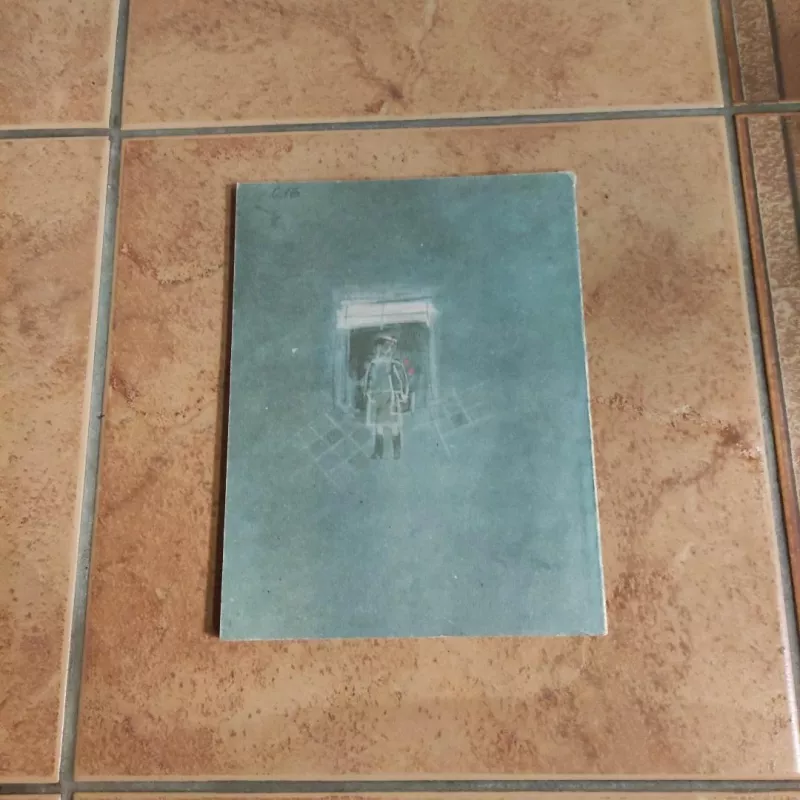 Čiuožyklos muzika - Bitė Vilimaitė, knyga 5