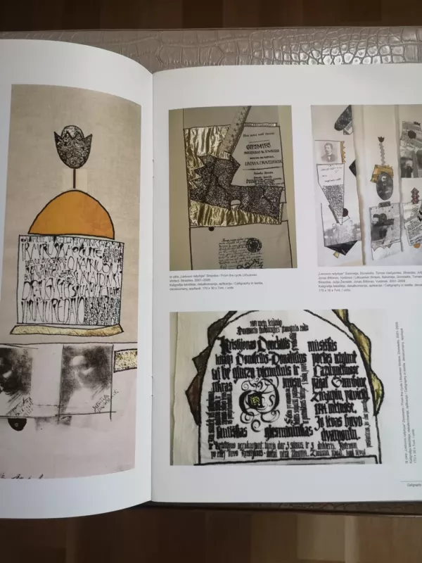 Kaligrafijos sąsiuviniai 2011/1(8) - Autorių kolektyvas, knyga 6