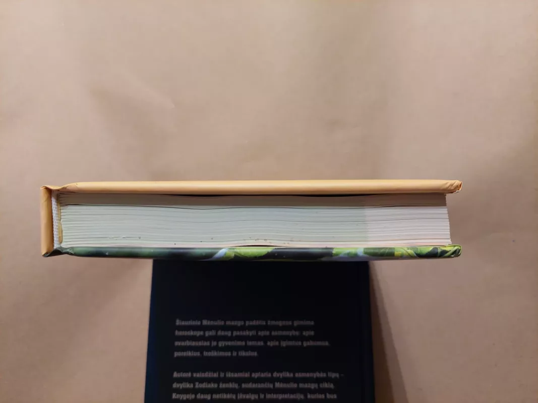 Vaistiniai augalai: sudedamosios dalys, gydomasis poveikis, pritaikymas - Anne Iburg, knyga 5