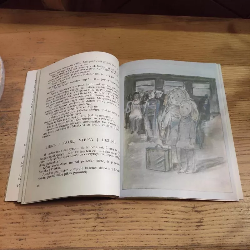 Čiuožyklos muzika - Bitė Vilimaitė, knyga 3