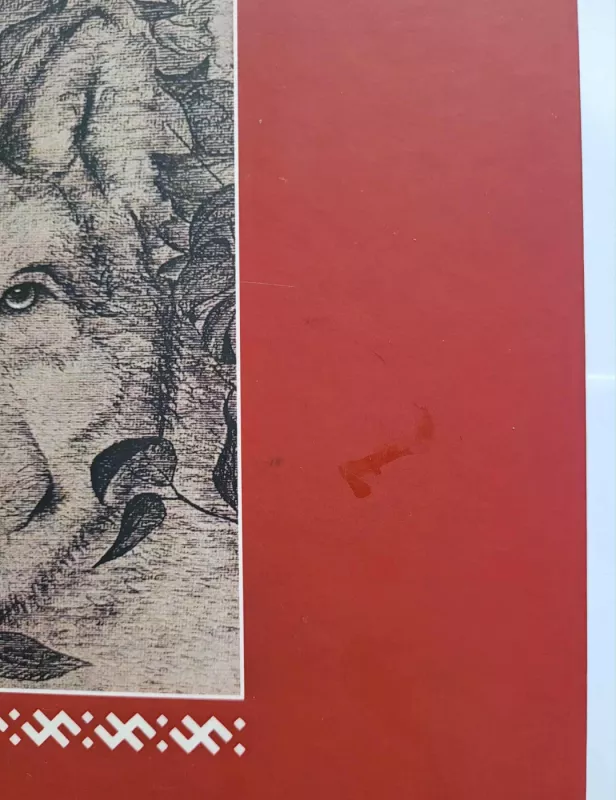 Lllatų pasakos - Anželika Zelma Tamaš-Tamūža, knyga 5