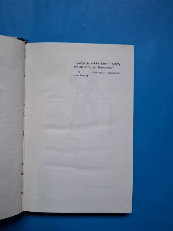 Haidnas - N. Dilaktorskaja, knyga 3