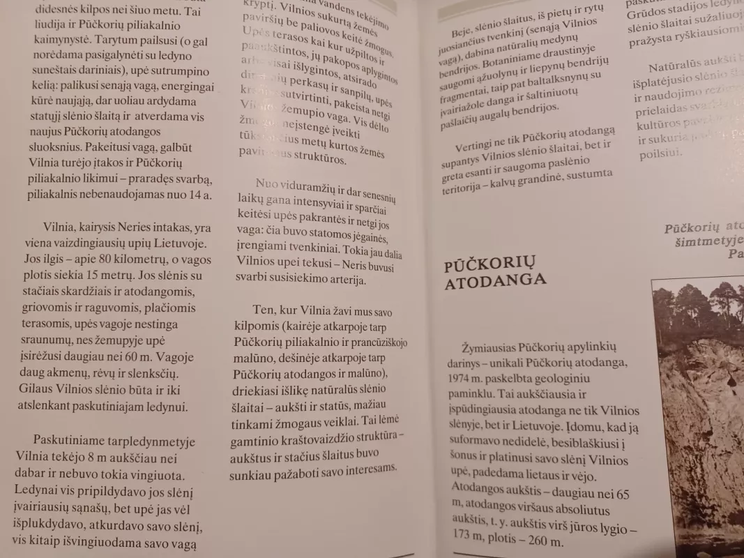 Pūčkoriai Vilnios perlas - Rūta Baškytė, knyga 5