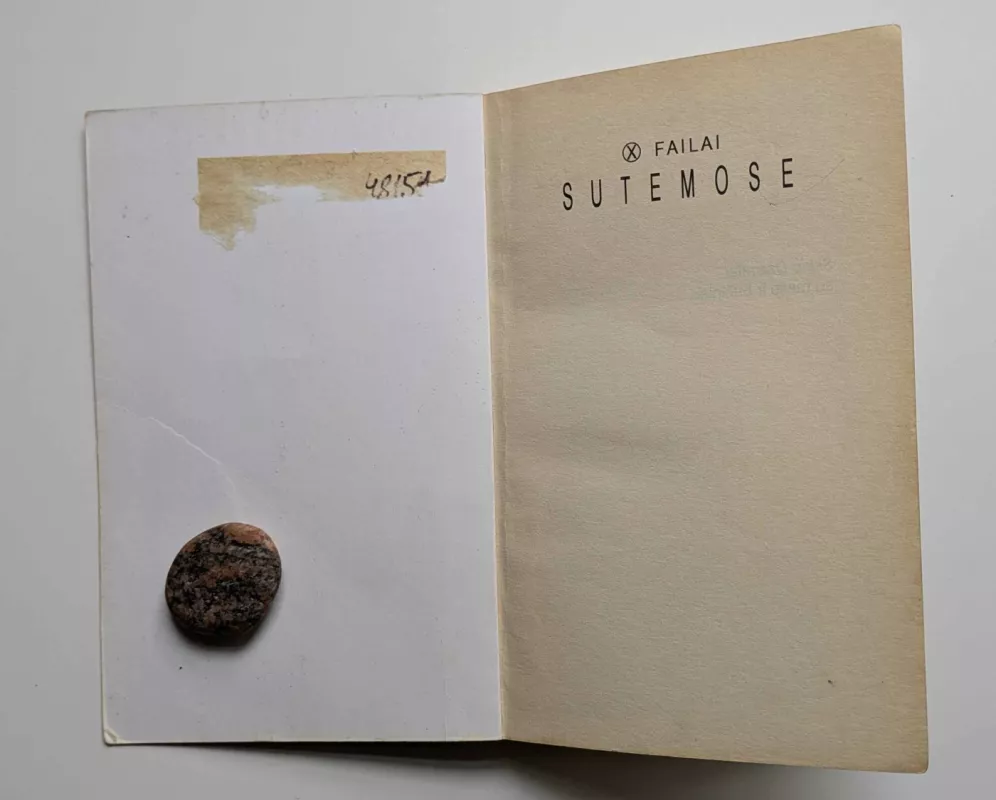 X failai. Sutemose (II tomas) - Les Martin, knyga 3