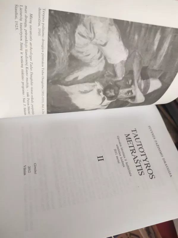 Tautotyros metraštis (II dalis) - K. Račkauskas, knyga 4