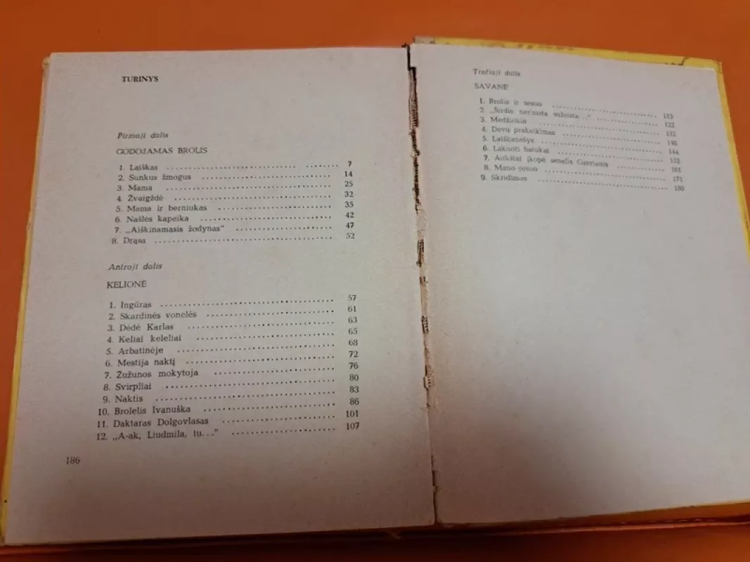 Dukart du- keturi - Susana Georgijevskaja, knyga 3