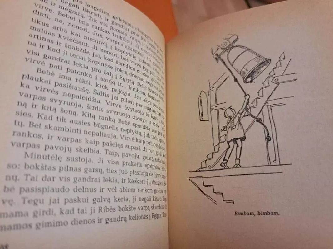 Bebė (Prano Mašioto knygynėlis) - Karina Mikaelis, knyga 3