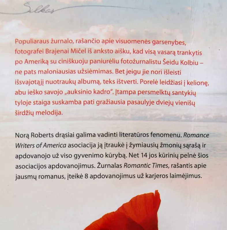 Vieną vasarą - Nora Roberts, knyga 4