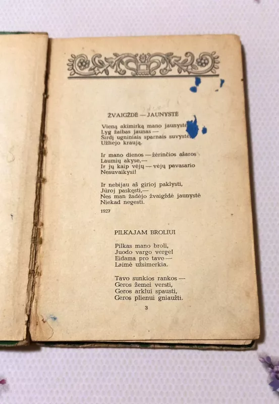 Salomėja Nėris - Nėra, knyga 5