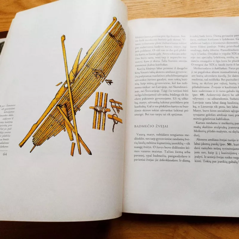 Lietuva iki Kristaus - Rimutė Rimantienė, knyga 3