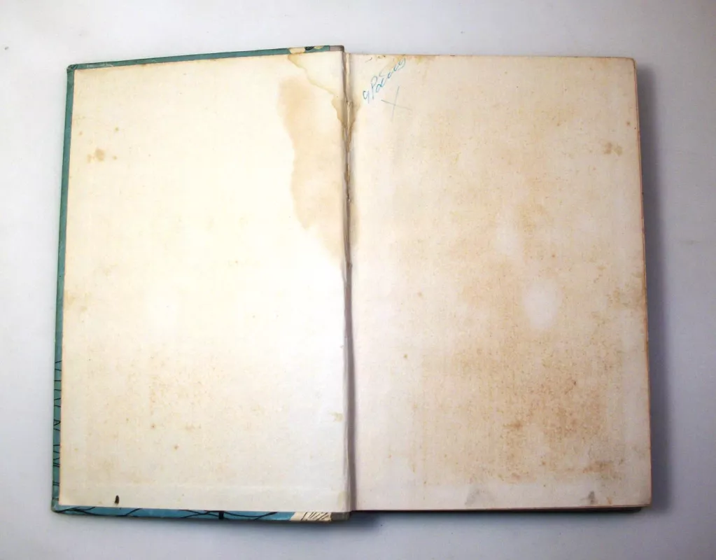 Odisėjo klajonės - G. Švabas, knyga 5