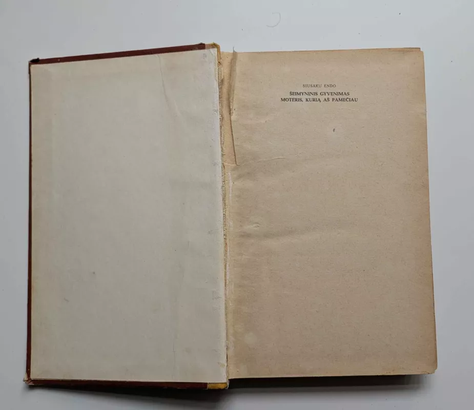 Šeimyninis gyvenimas Moteris,kurią aš pamečiau - Endo Siusaku, knyga 3