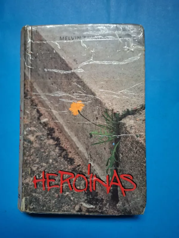 Heroinas - Melvin Burgess, knyga 2