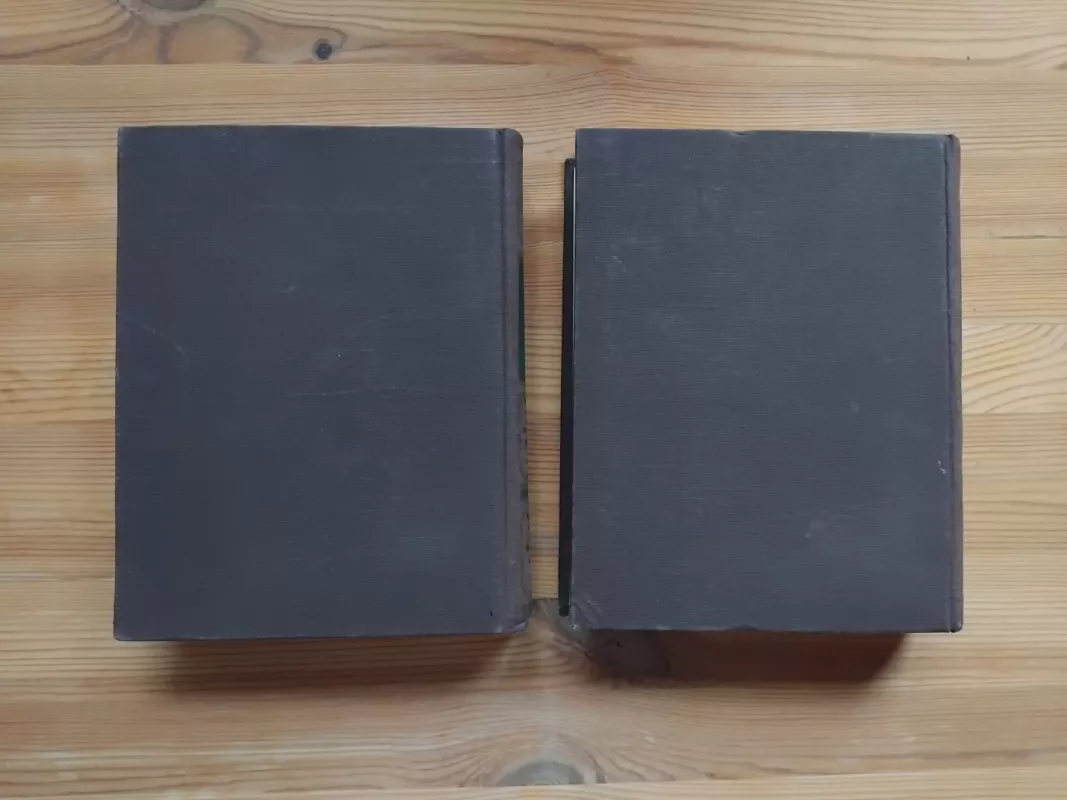 Lietuviškos svotbinės dainos (2 tomai) - Antanas Juška, knyga 5