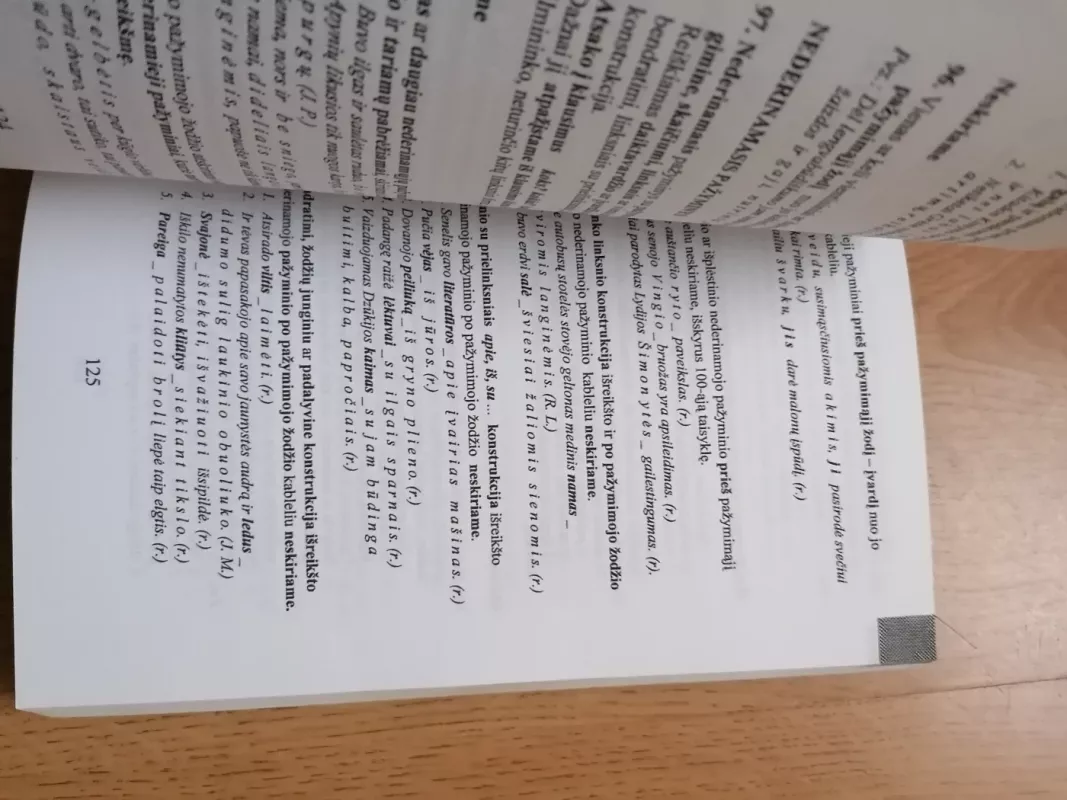 Lietuvių kalbos taisyklės - Benjaminas Kondratas, knyga 4