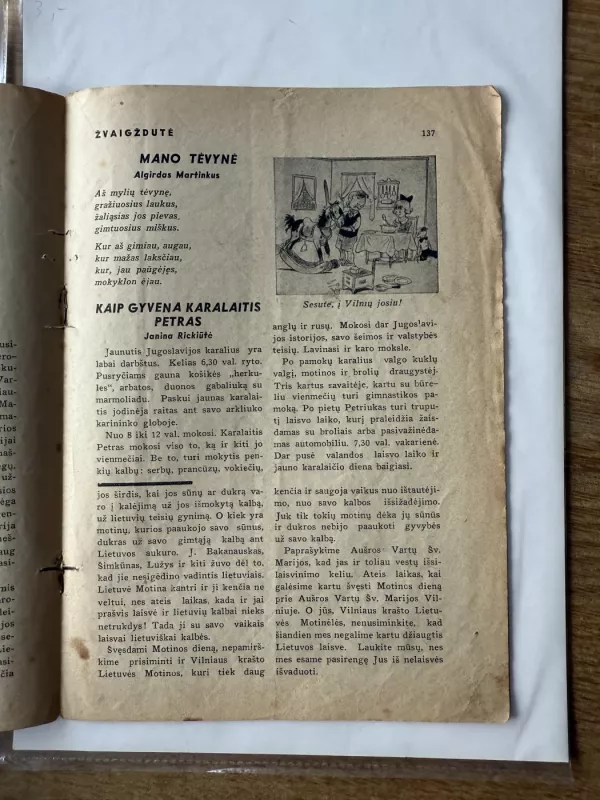 Žvaigždutė tarpukario laikraštis vaikams 1938 - J. Kuzmickis, knyga 5