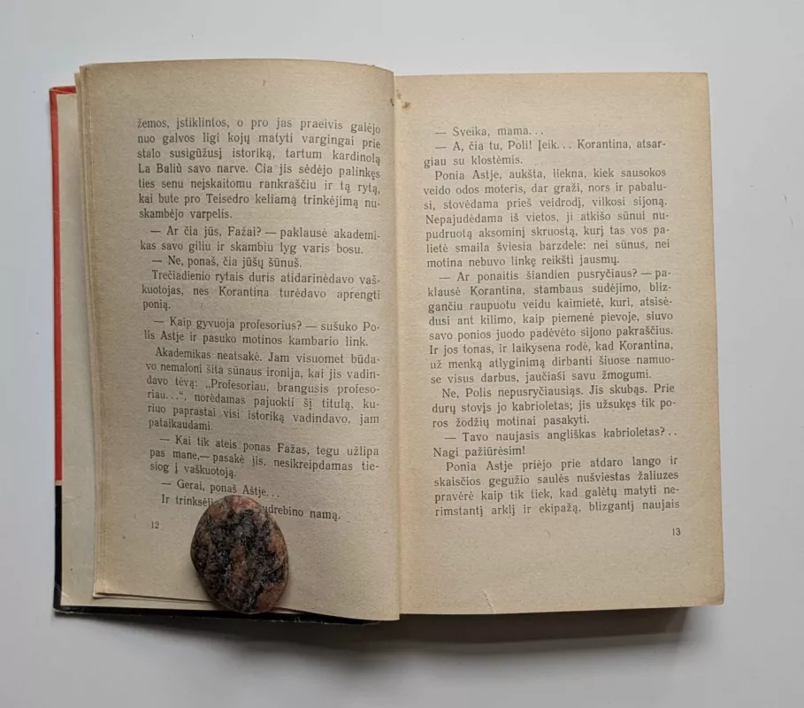 Nemirtingasis - Alfonsas Dodė, knyga 6