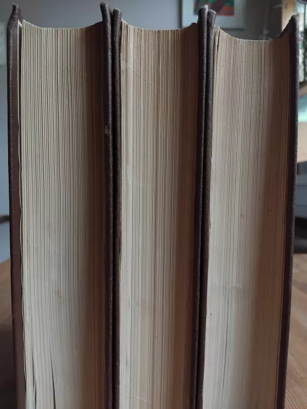 Sutartinės (3 tomai) - Autorių Kolektyvas, knyga 5