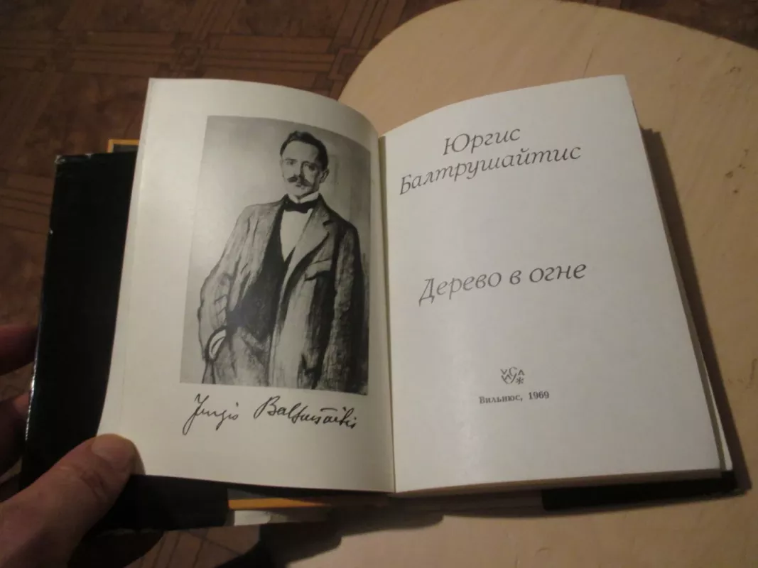 Medis ugnyje (rusų k.) - Jurgis Baltrušaitis, knyga 6