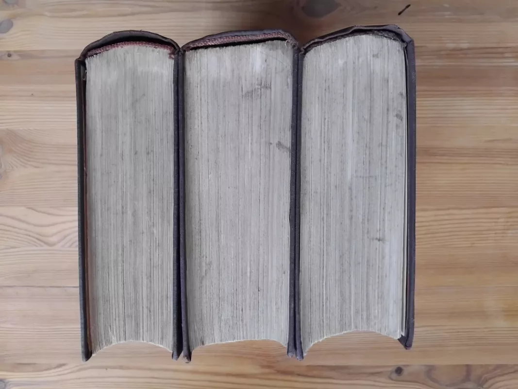 Lietuviškos dainos (3 tomai) - Antanas Juška, knyga 5