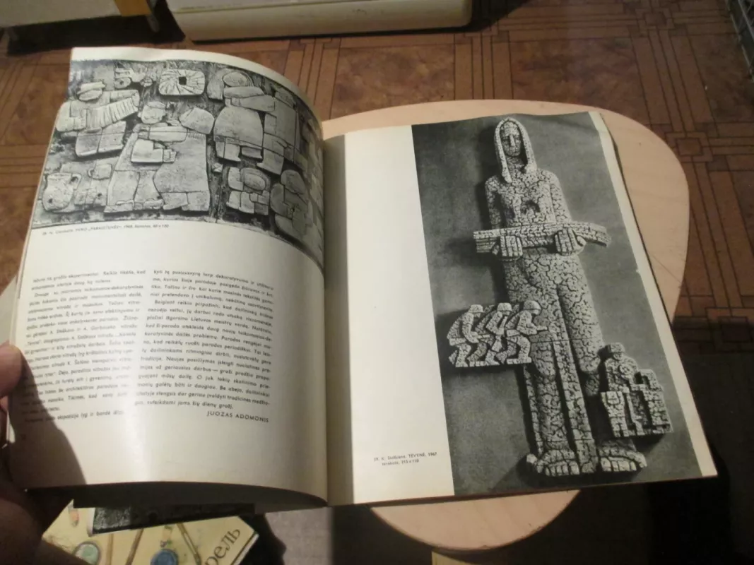 Dailė 1969 - Autorių Kolektyvas, knyga 3