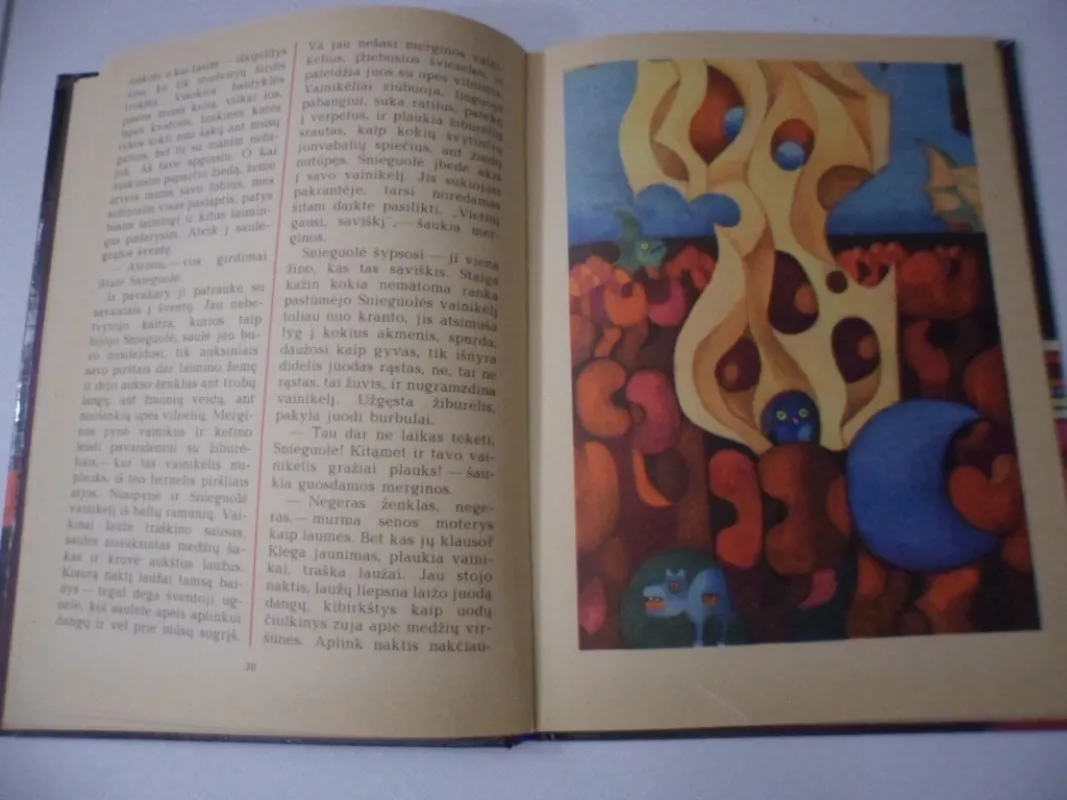 Pasaka apie narsią Vilniaus mergaitę ir galvažudį Žaliabarzdį - Aldona Liobytė, knyga 5