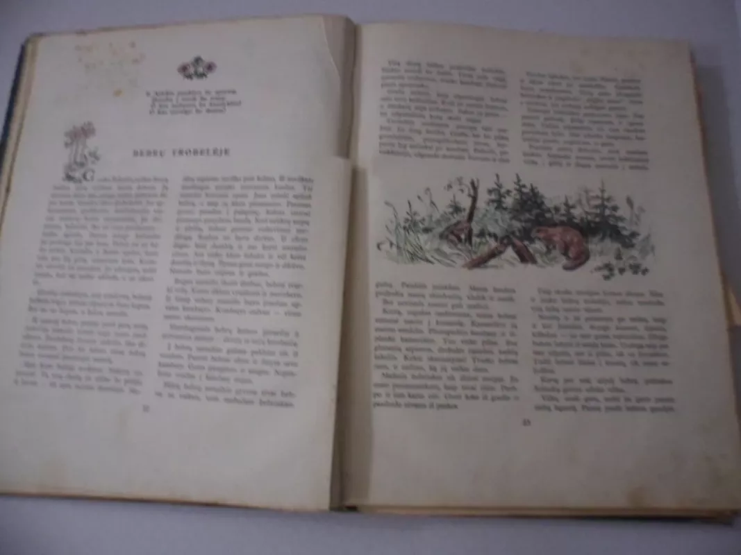 Mūsų metai 1955 - Autorių Kolektyvas, knyga 4