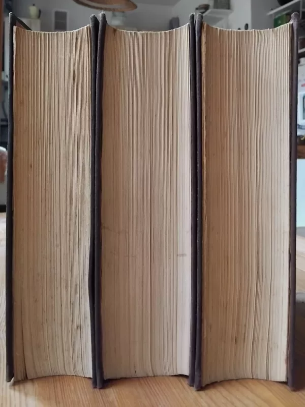 Lietuviškos dainos (3 tomai) - Antanas Juška, knyga 6