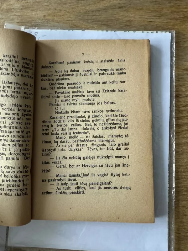 Gudrūna. Romanas 1927 - Jurgis Žydrūnas, knyga 4