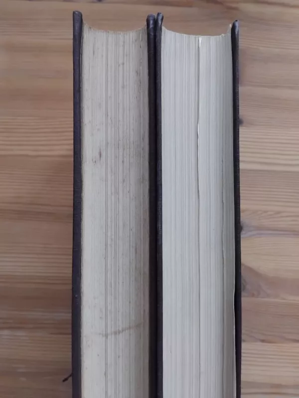 Lietuviškos svotbinės dainos (2 tomai) - Antanas Juška, knyga 6