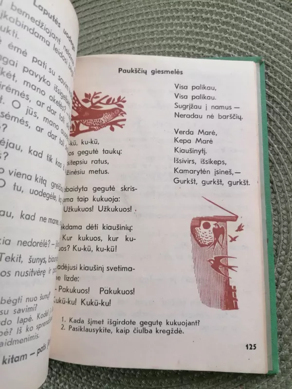 Vyturys - L. Jakubauskienė, knyga 3