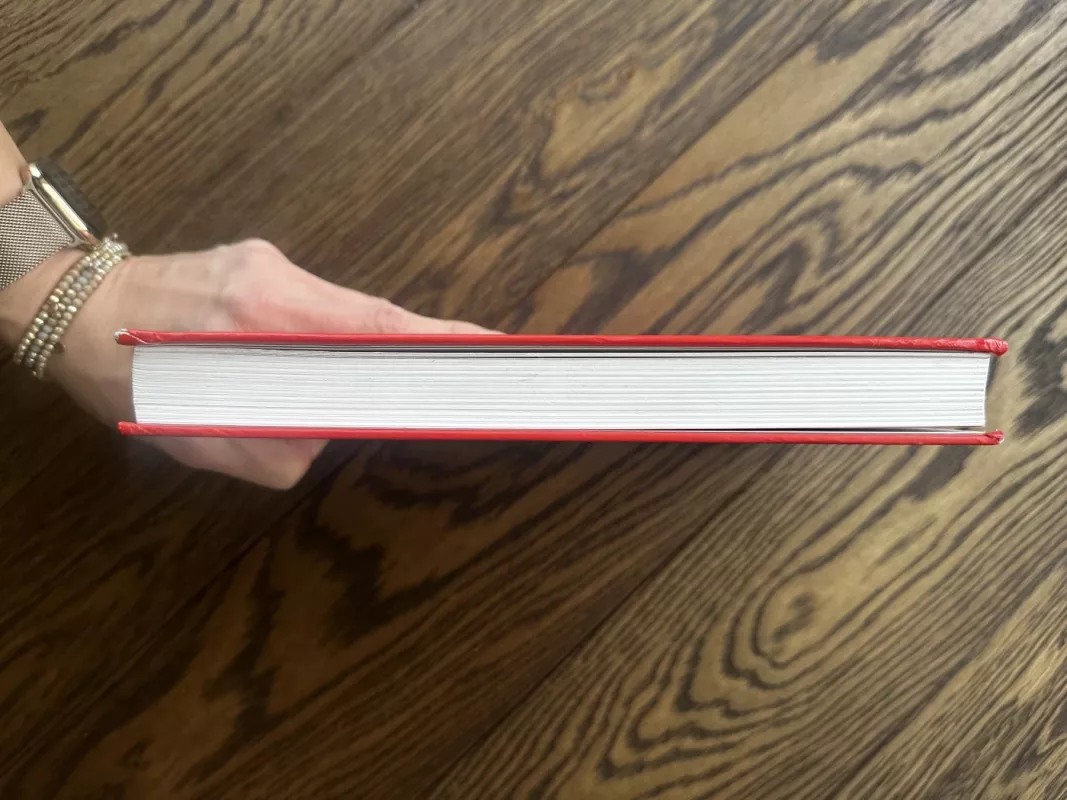 Žmogus, kuris žinojo viską: 98 kūrybinio įkvėpimo istorijos - Sabolius Kristupas, knyga 3