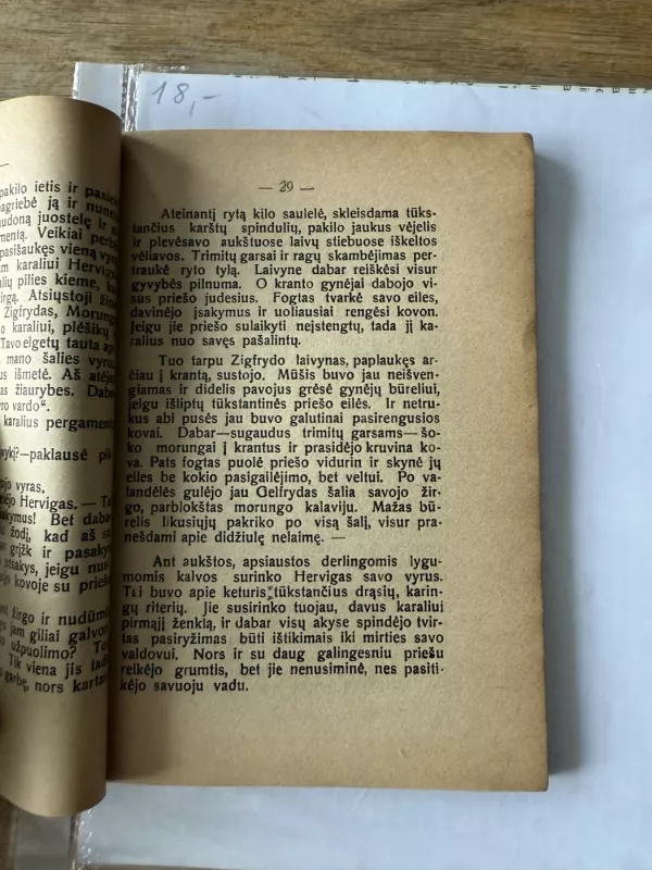 Gudrūna. Romanas 1927 - Jurgis Žydrūnas, knyga 5