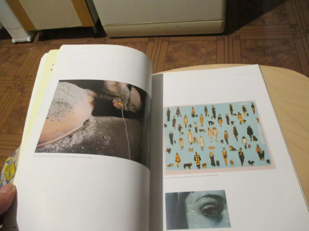 Dailė art' 2006/1 - Autorių Kolektyvas, knyga 6