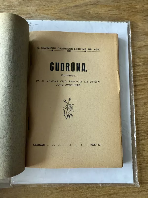 Gudrūna. Romanas 1927 - Jurgis Žydrūnas, knyga 3