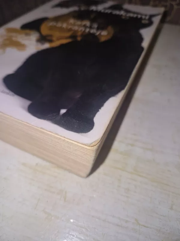 Kafka pakrantėje - Haruki Murakami, knyga 5