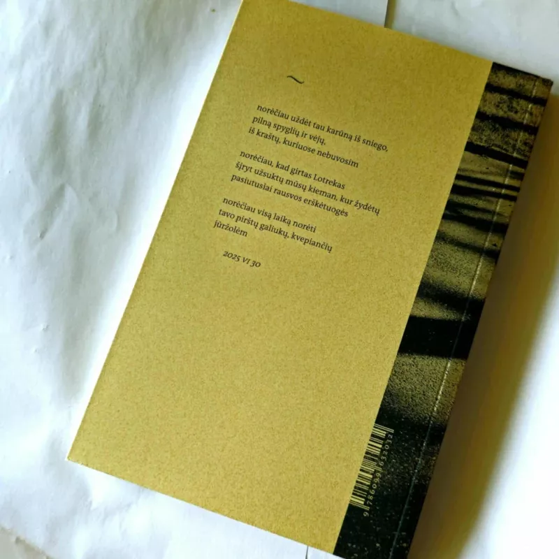 nieko tobulesnio - Julius Keleras, knyga 2