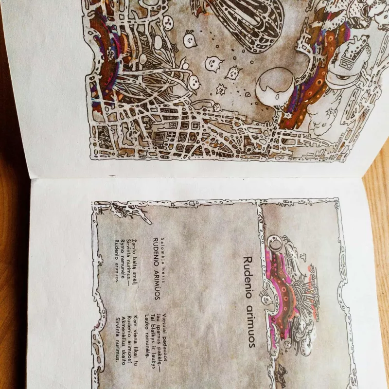 Mažųjų skaitiniai - Anzelmas Matutis, knyga 4