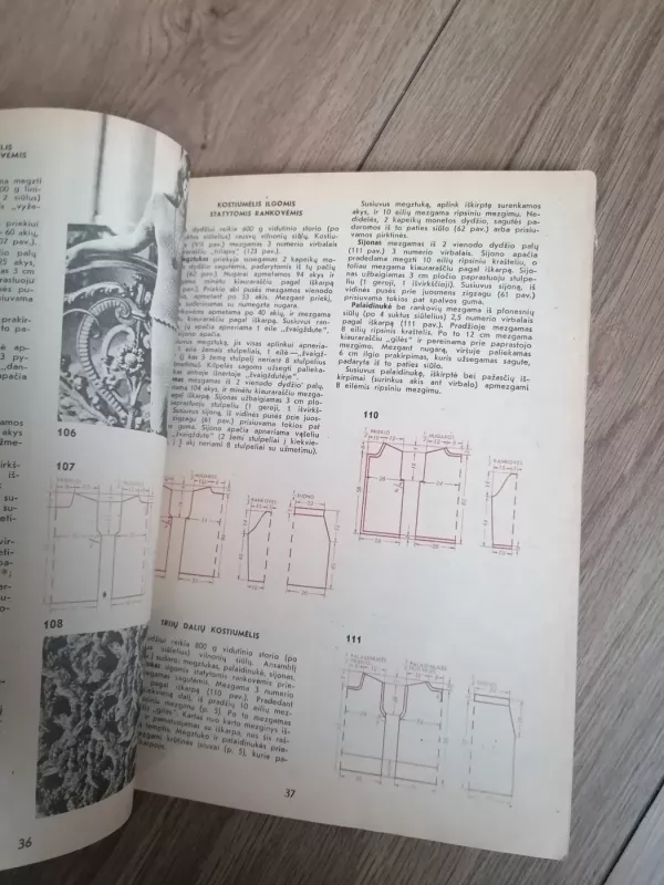 Mezgimas - J.Januškienė, knyga 6