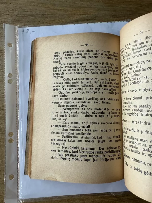 Gudrūna. Romanas 1927 - Jurgis Žydrūnas, knyga 6